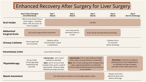 Updated Surgery Guide .